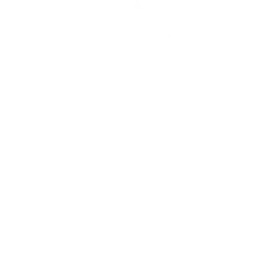 World Brand copy